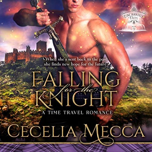 Falling for the Knight: A Time Travel Romance